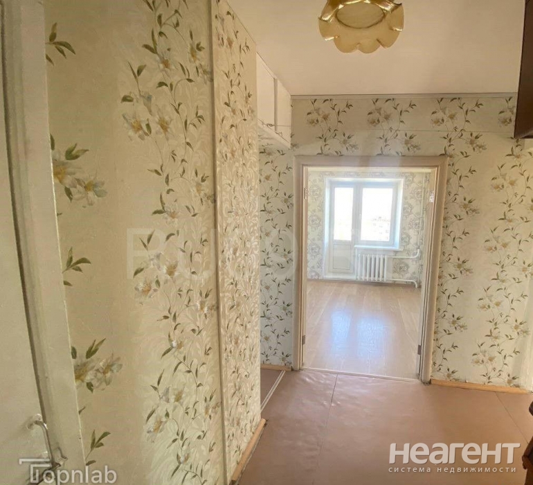 Фотография №4