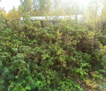 Продается Участок, 600 м²