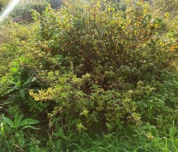 Продается Участок, 600 м²