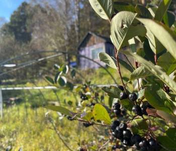 Продается Участок, 1000 м²