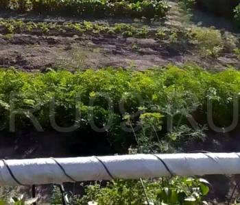 Продается Участок, 1500 м²