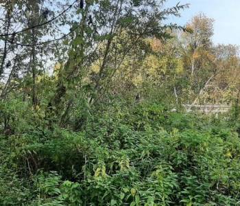 Продается Участок, 800 м²