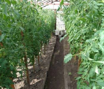 Продается Дом, 48 м²