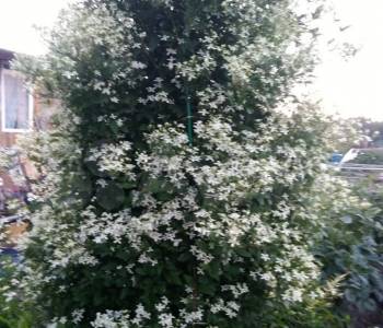 Продается Дом, 24 м²