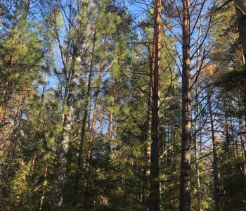 Продается Участок, 2800 м²