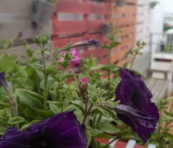 Продается 2-х комнатная квартира, 70 м²