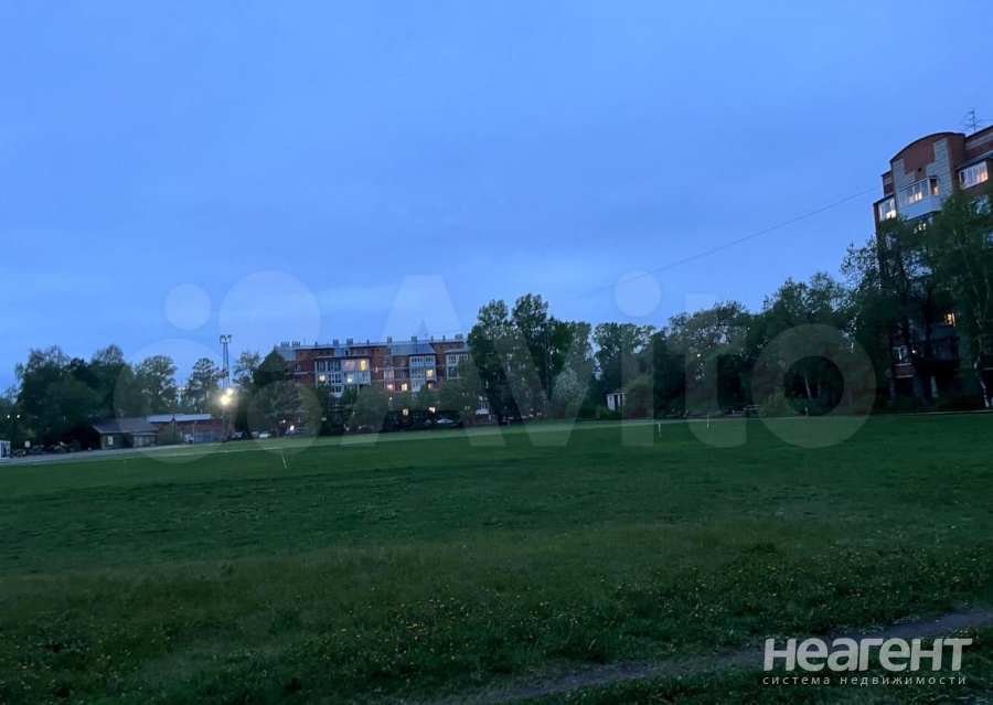 Фотография №2