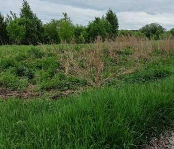 Продается Участок, 1300 м²