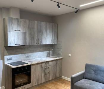 Сдается 1-комнатная квартира, 26,5 м²
