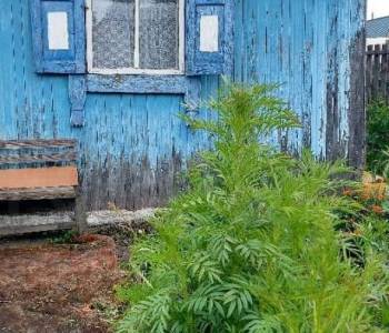 Продается Участок, 800 м²