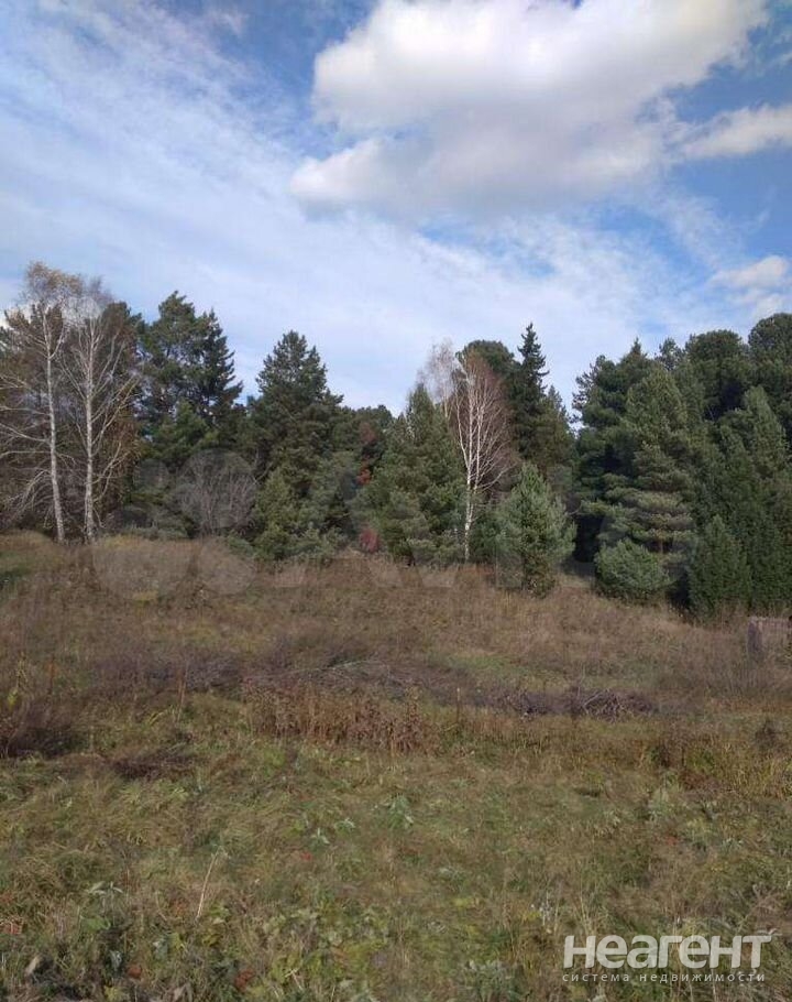 Продам участок  (СНТ, ДНП), Богашёвское сельское поселение, СНТ Нива, собственник