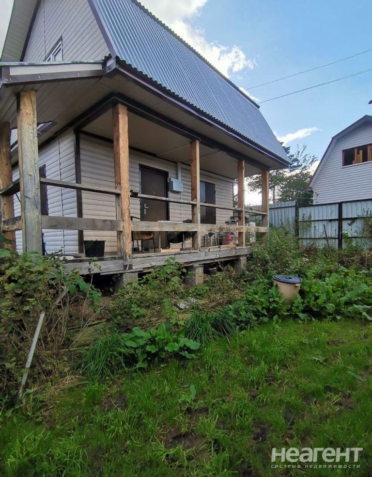 Фотография №2