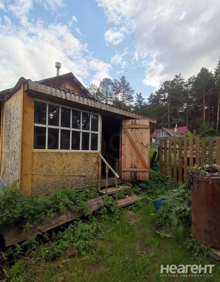 Фотография №4