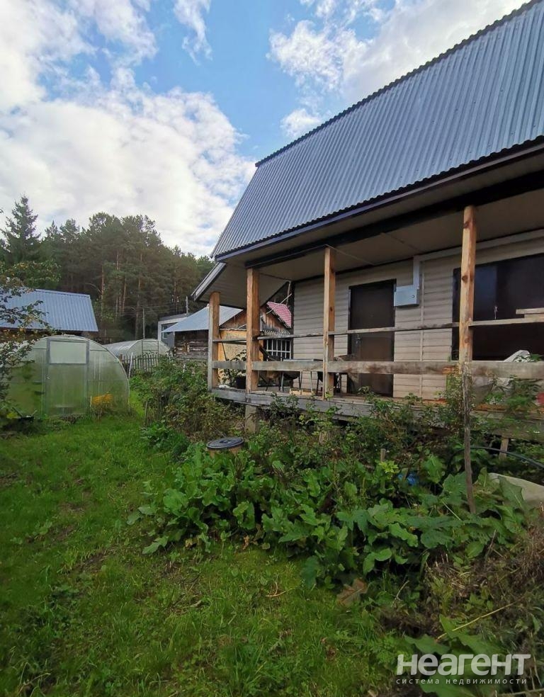 Фотография №5