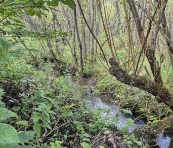 Продается Дом, 1900 м²