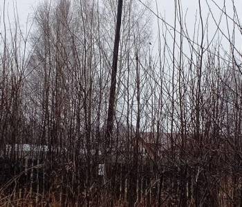 Продается Дом, 31 м²