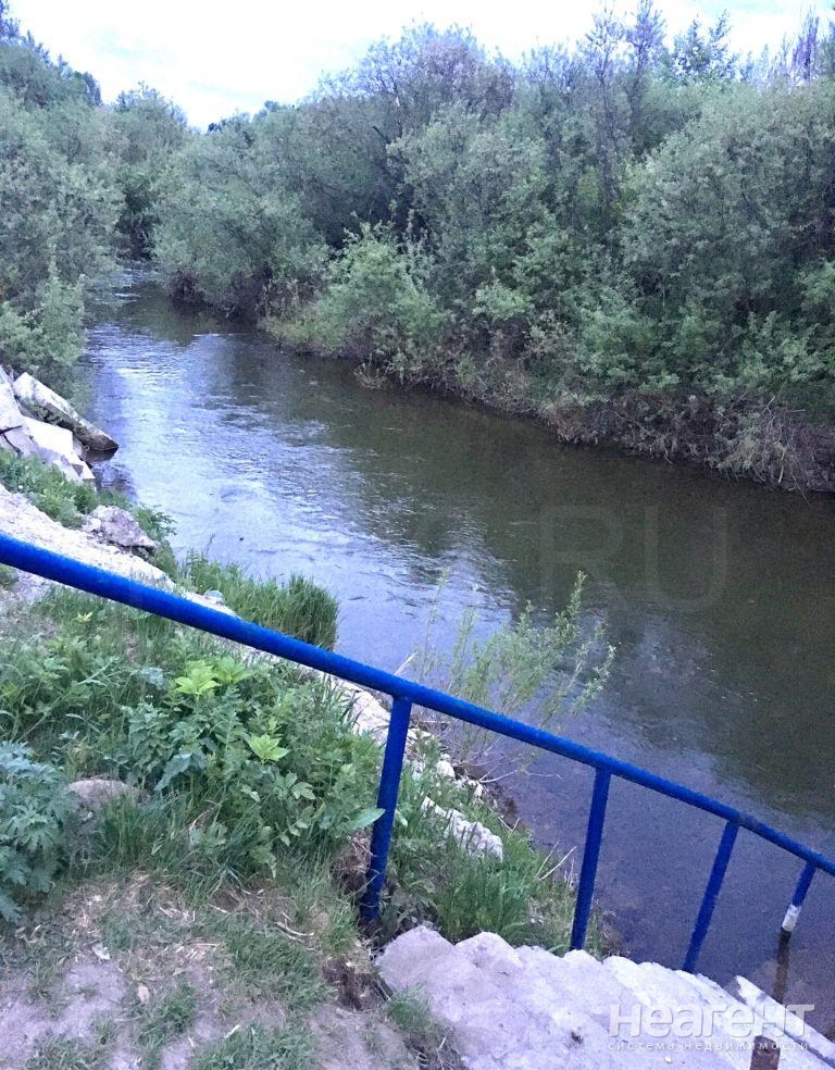 Фотография №3