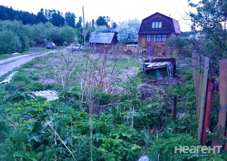 Фотография №5