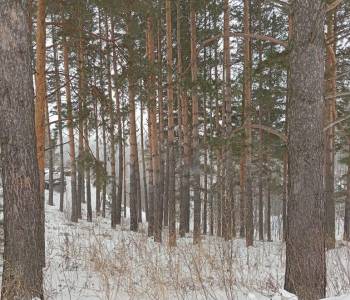 Продается Участок, 956 м²