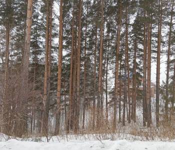 Продается Участок, 956 м²