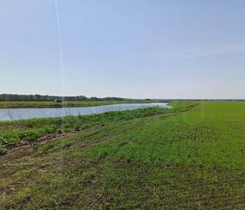 Продается Участок, 62000 м²