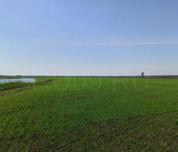 Продается Участок, 62000 м²