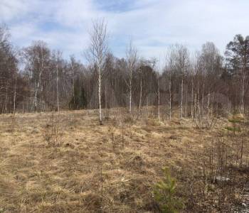 Продается Участок, 1000 м²