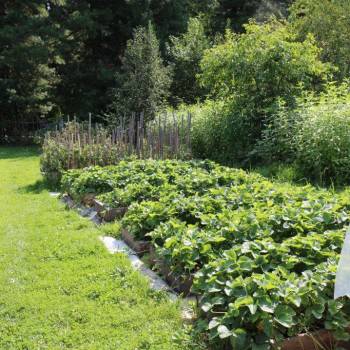 Продается Дом, 75 м²