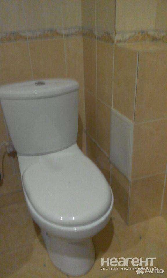 Фотография №5