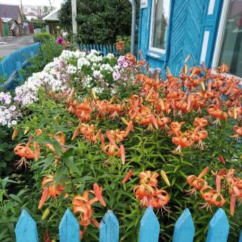 Продается Дом, 42 м²