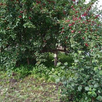 Продается Участок, 1600 м²