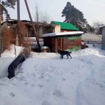 Продается Дом, 64 м²