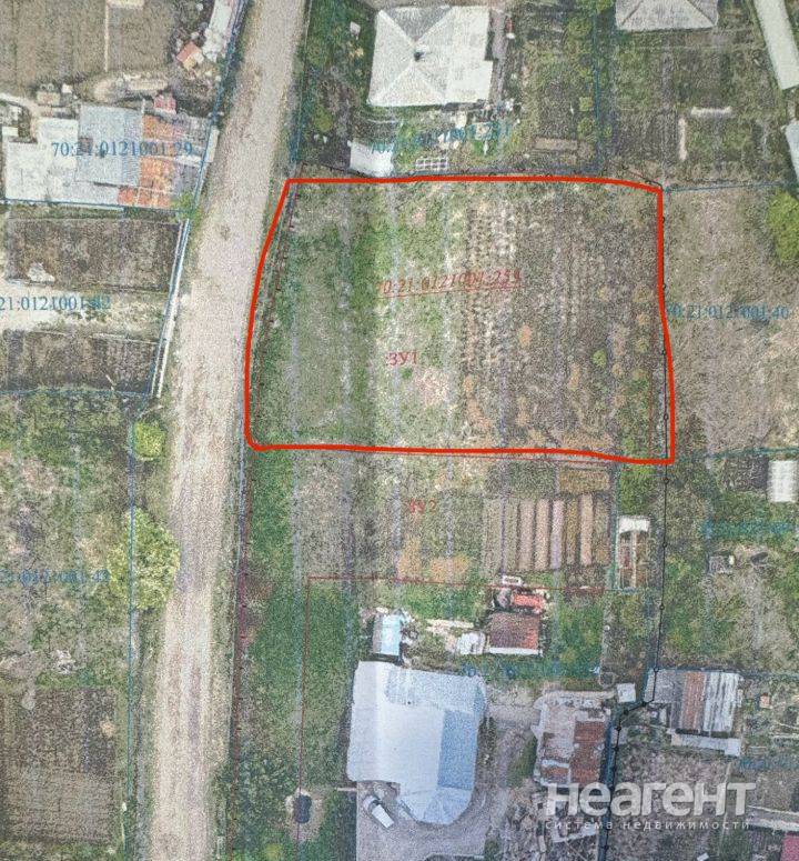 Фотография №2