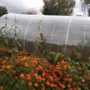 Продается Дом, 24 м²