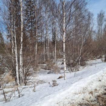 Продается Участок, 1500 м²