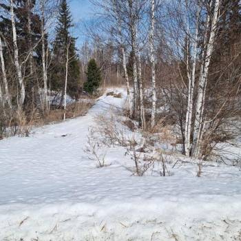 Продается Участок, 1500 м²