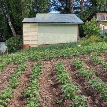 Продается Участок, 600 м²