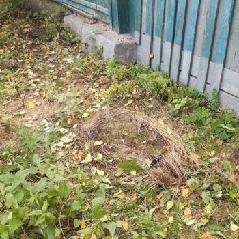 Продается Участок, 230 м²