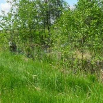 Продается Участок, 1500 м²