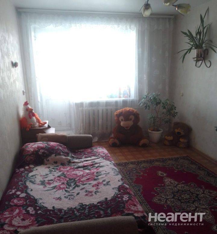 Фотография №2