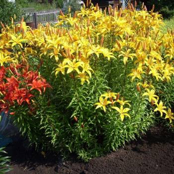 Продается Участок, 400 м²