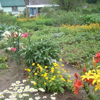 Продается Участок, 400 м²