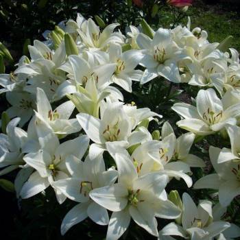 Продается Участок, 400 м²