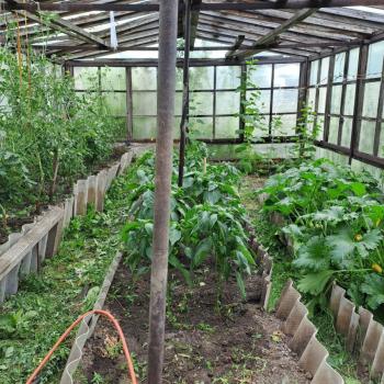 Продается Участок, 600 м²