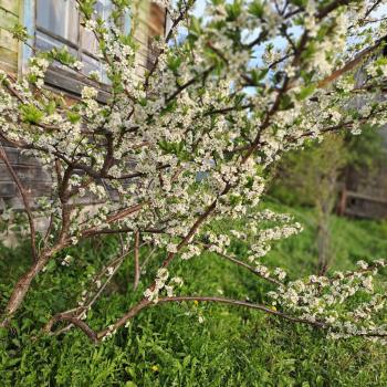 Продается Участок, 600 м²