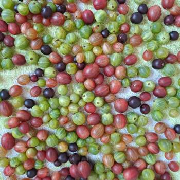 Продается Участок, 600 м²