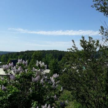 Продается Участок, 600 м²