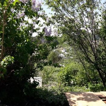 Продается Участок, 600 м²