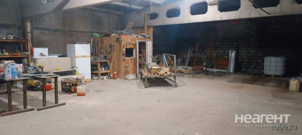 Фотография №3