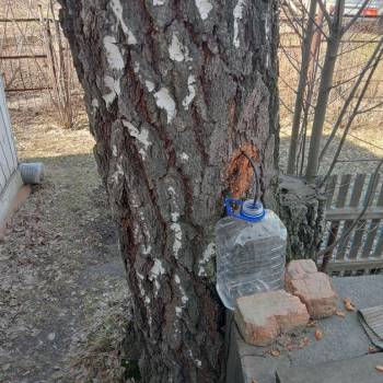 Продается Дом, 60 м²